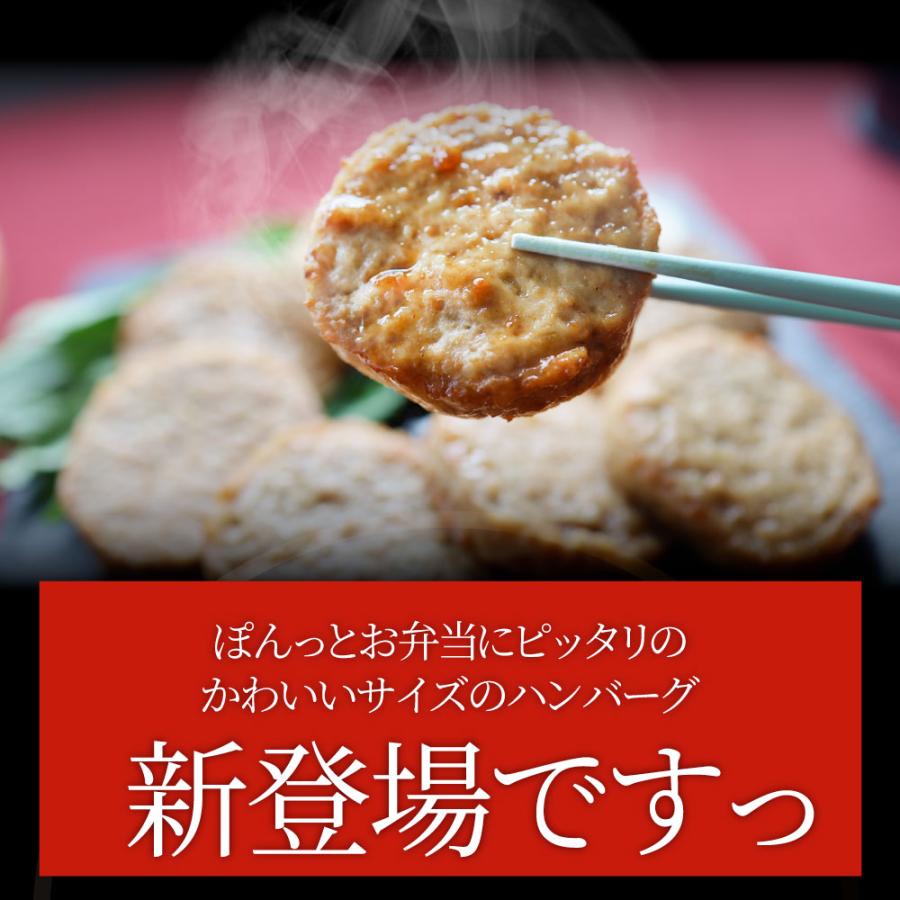 お弁当 ミニハンバーグ 10kg （1kg×10） メガ盛り 弁当 肉 鳥肉 鶏肉 ハンバーグ 一品 おかず 簡単 美味しい 業務用 食品 爆買_1