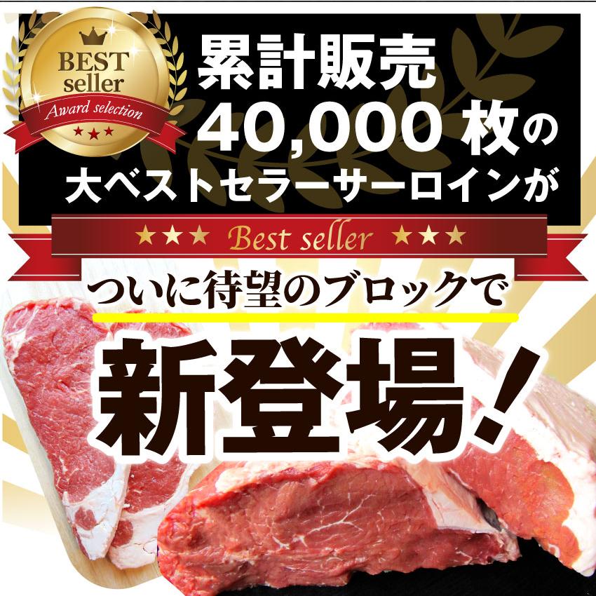 サーロイン　ブロック　5kg　凍眠　テクニカン　贅沢　ステーキ用　赤身　赤身　プレゼント　リッチな　牛肉