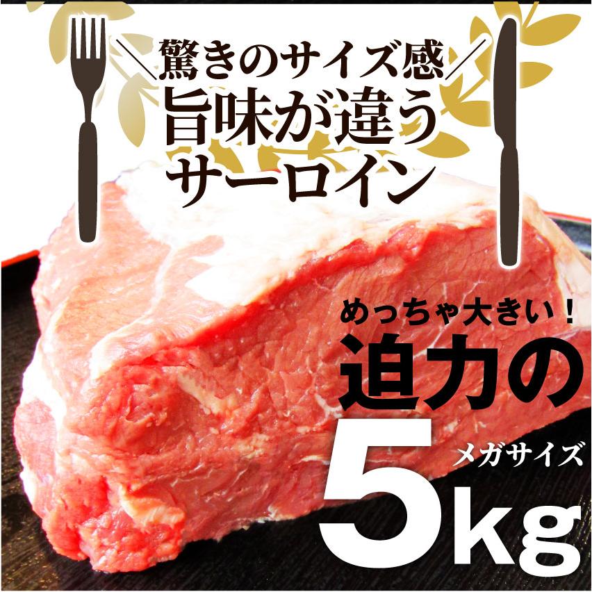 オージー サーロイン ブロック 5kg 凍眠 テクニカン ステーキ用 赤身 ロース プレゼント リッチな 贅沢 牛肉｜syabumaru｜05