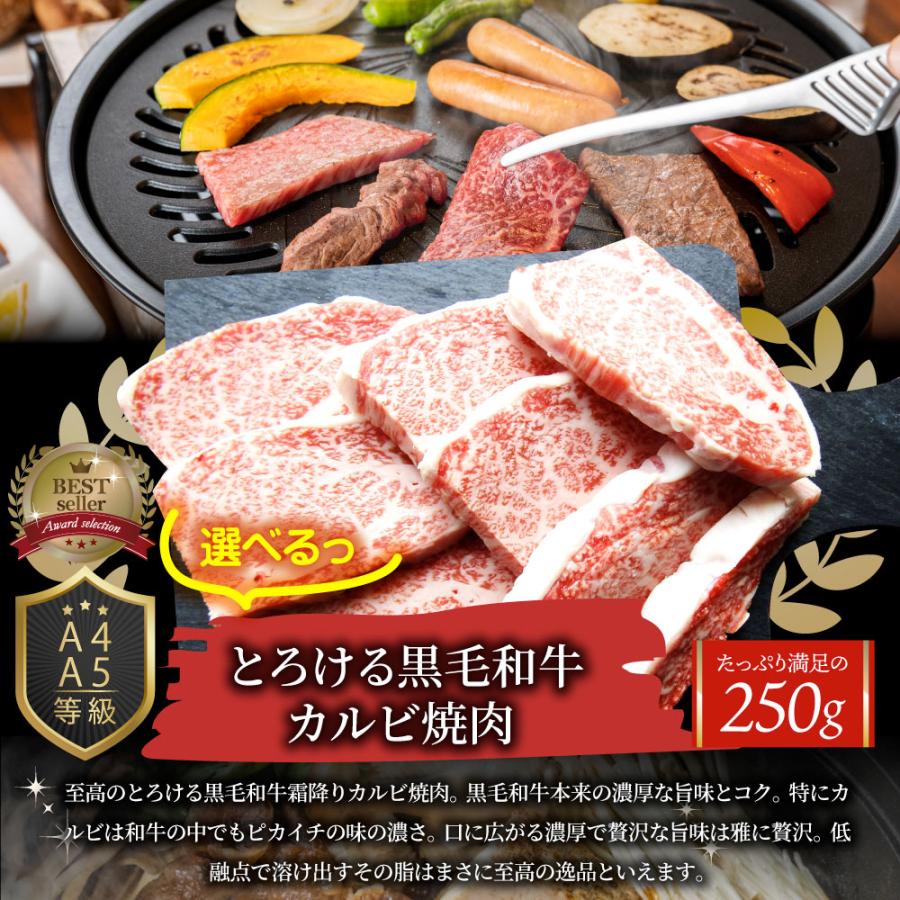 特選黒毛和牛目録 5000円ポッキリ A4 パネル 目録付 ２次会 景品 目録 お肉ゴルフコンペ 賞品 歓迎会 送別会イベント用品 誕生会 爆買の画像
