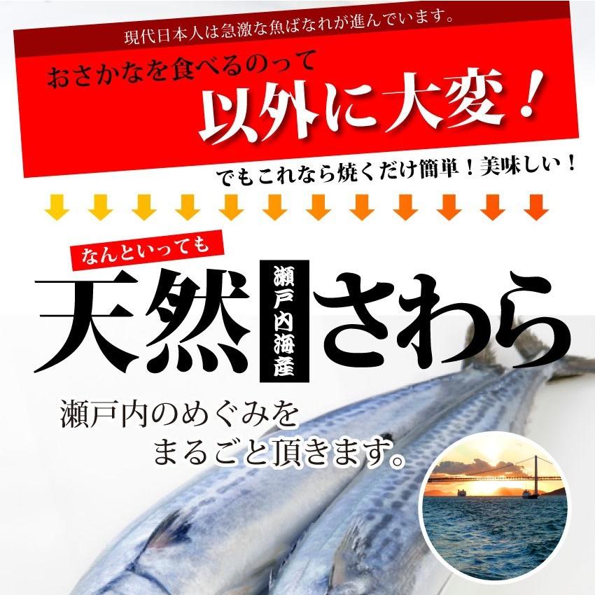 瀬戸内海産 天然さわら 味噌漬け 白みそ 鰆 サワラ 焼くだけ 西京みそ ミソ グルメ 母の日 父の日 ギフト 食品 プレゼント 女性 男性 お祝い 誕生日｜syabumaru｜02