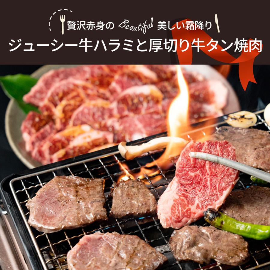 肉 牛肉 タレ漬け 牛ハラミ ＆ 牛タン 焼肉セット 1kg（250g×4） 食品