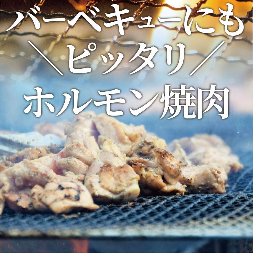 焼肉 牛肉 肉 ホルモン テッチャン モツ シマチョウ 1kg 250g×4袋 バーベキュー 焼くだけ｜syabumaru｜08