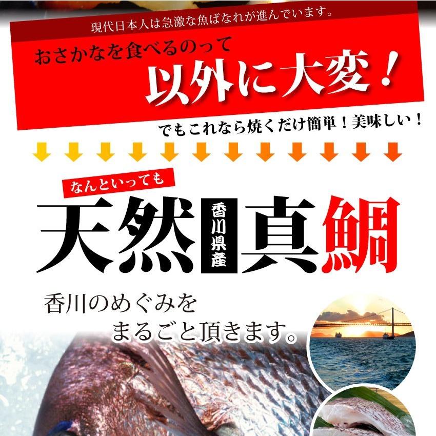 天然鯛 鯛 食品 鯛味噌漬け 香川県産 白みそ 真鯛 焼くだけ 西京みそ 冷凍 お取り寄せ グルメ お中元 父の日 ギフト 21 当日発送対象 お肉のしゃぶまる 通販 Paypayモール