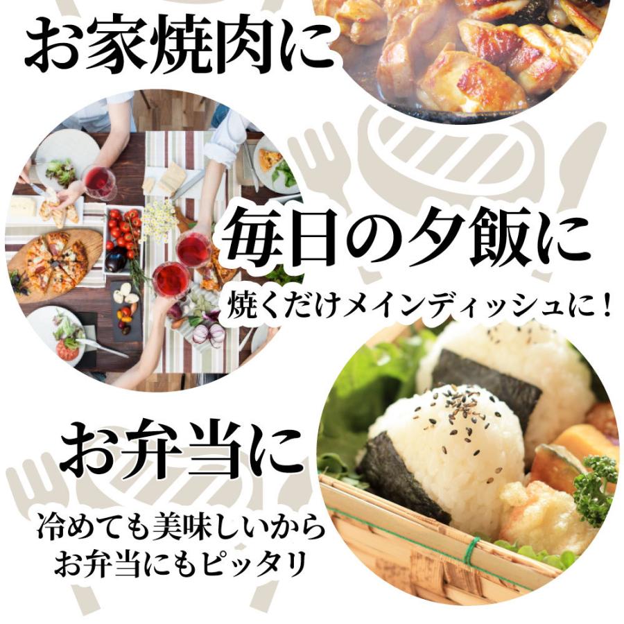 ギフト プレゼント 食品 ギフト プレゼント お祝い 旨辛 ジューシー 鶏もも チーズダッカルビ 12kg (500g×24) バーベキュー 鶏肉 業務用 爆買_11