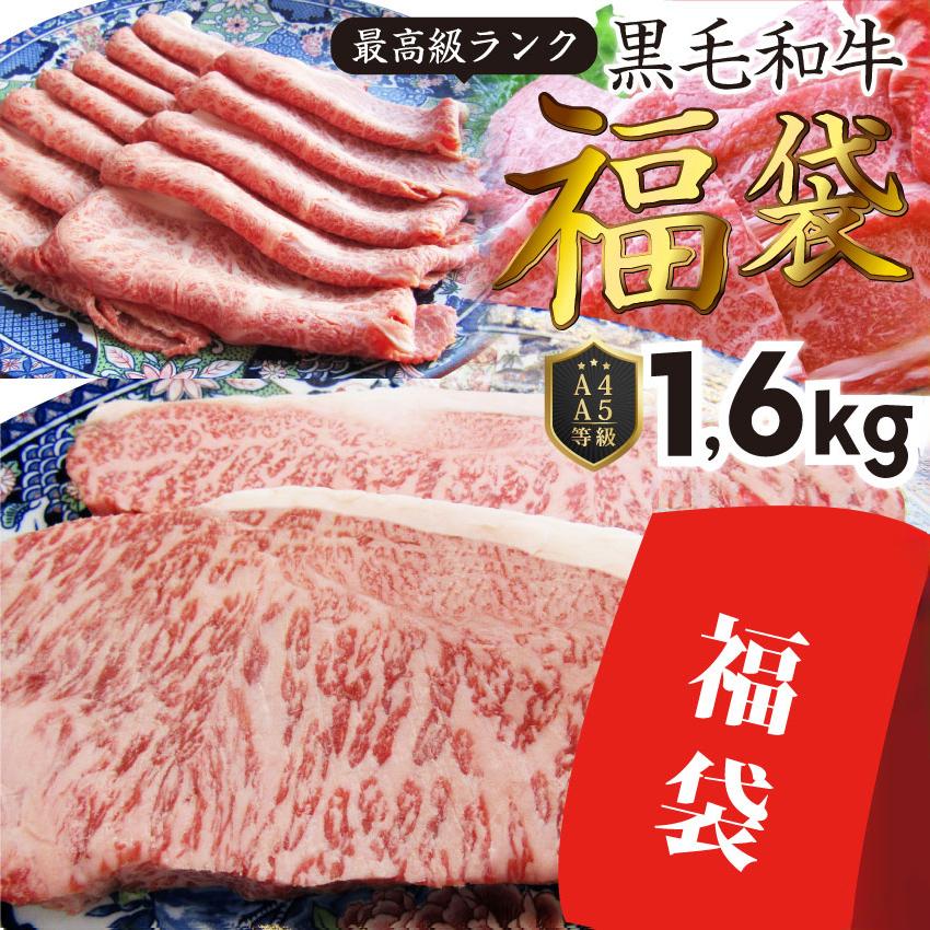 商品追加値下げ在庫復活 牛肉 肉 特松 福袋 黒毛和牛 A5等級のみ使用 1 6kg 肉の福袋 年 3種 超豪華福袋セット お中元 父の日 ギフト 21 黒毛和牛 送料無料 まとめ買い割引 正規認証品 新規格
