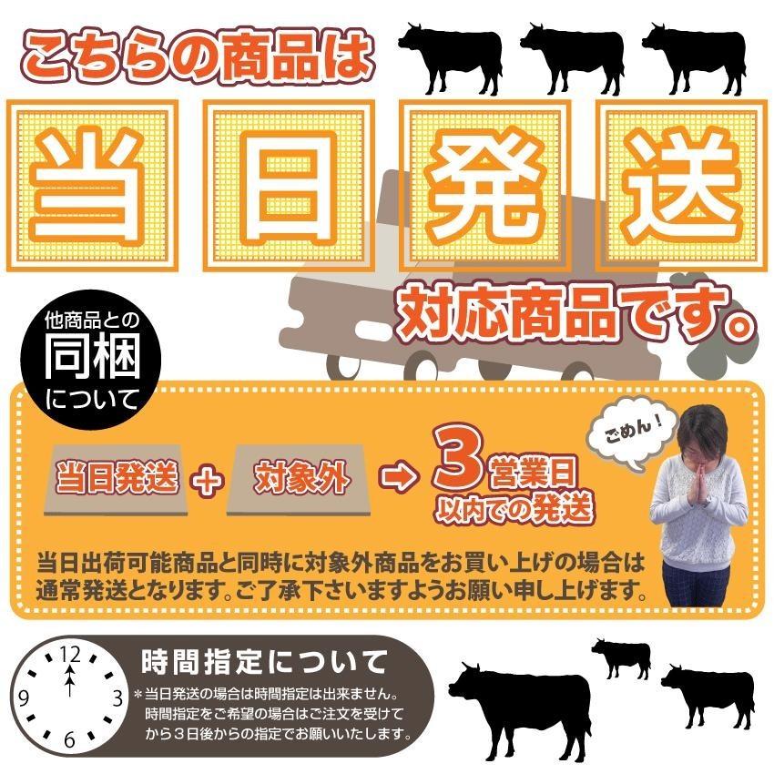 照り焼き チキン 鶏もも肉 惣菜 メガ盛り 2kg 500g×4 焼くだけ ご飯にも お酒にも 冷凍弁当 鶏もも｜syabumaru｜17