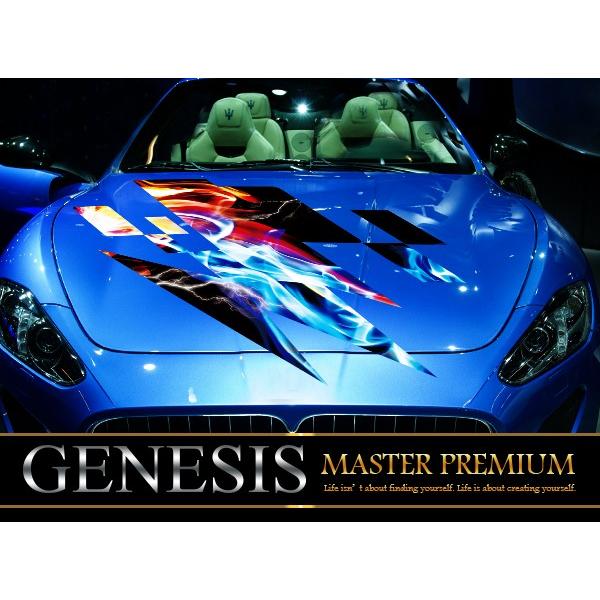 日本産 車 ステッカー かっこいい カスタム イナズマ 雷 カーステッカー 車用 スポーツ カラー バイナルグラフィック ワイルドスピード系 ユーロ デカール Fk06 本店は Atempletonphoto Com
