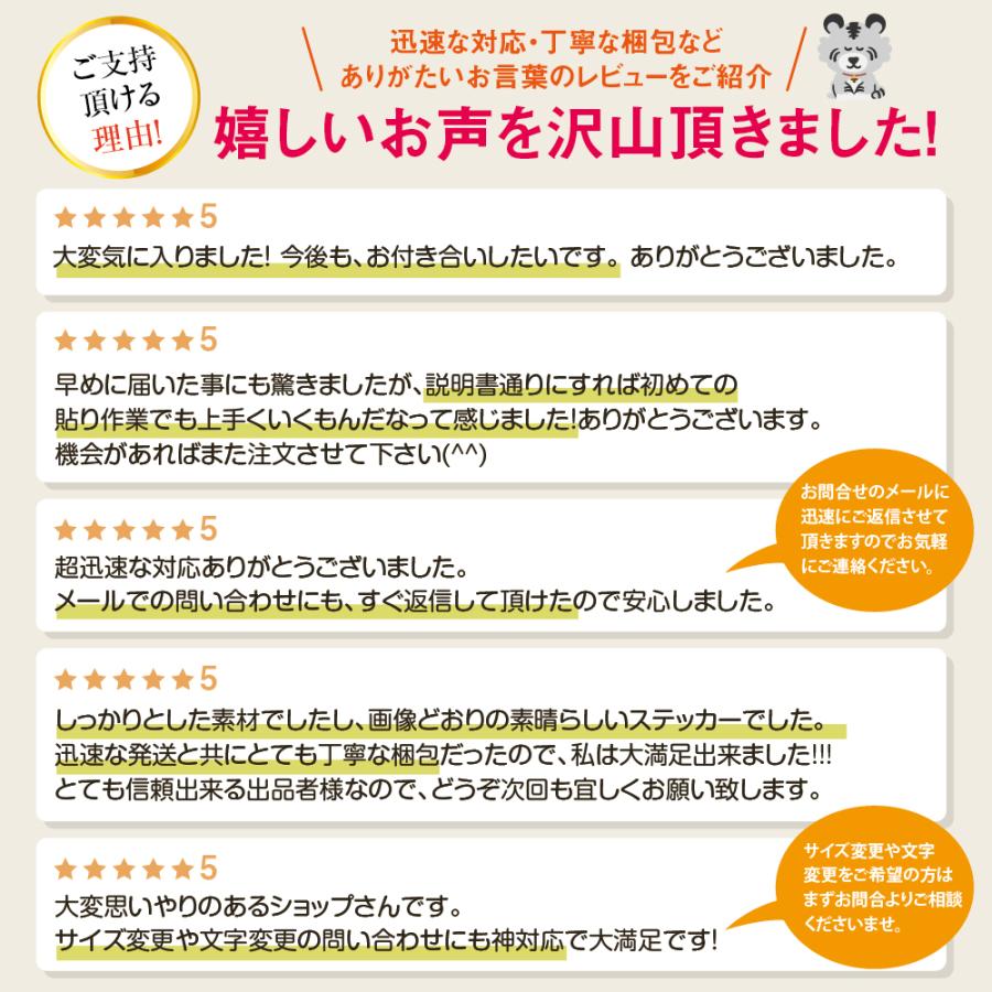 車 ステッカー かっこいい サイド デカール ライン 大きい カーステッカー 車用 カッティングステッカー上質 バイナルグラフィック 全8色 左右セット 5｜syarakugenesis｜07