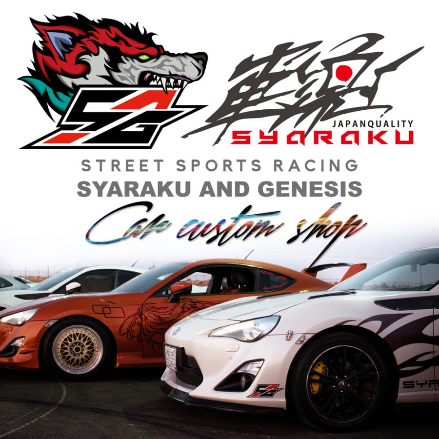 車 ステッカー かっこいい サイド デカール 上質 ワイルド スピード系