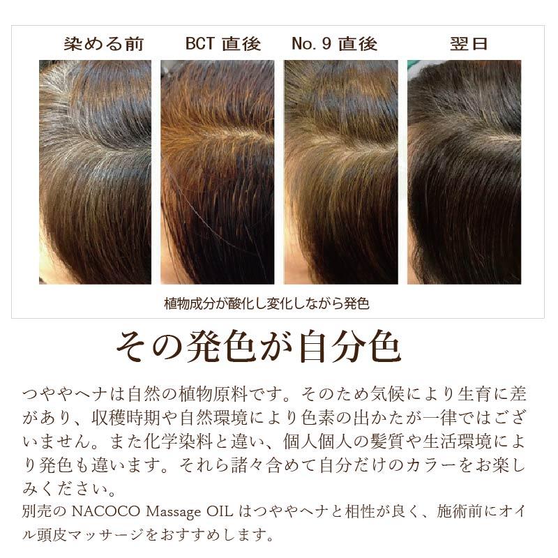 よりどり4点選べる【最高AAAランク高品質ヘナ】選べて嬉しい♪ヘナ白髪染め ヘナ白髪染め【最高AAAランク高品質ヘナ】ペイズリーオレンジ