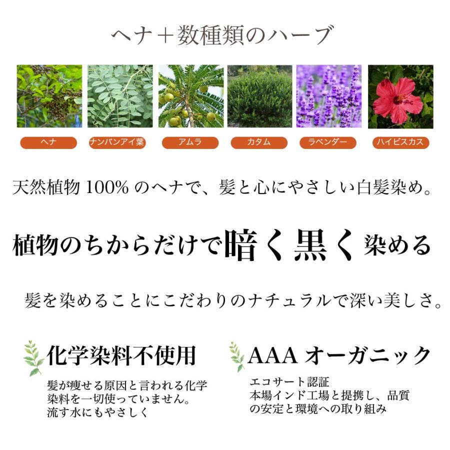 ヘナ白髪染め 艶柔 ホームキット AAA オーガニック 100% 落ち着いた