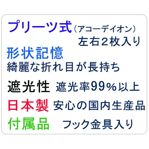 トラックセンターこゆきネイビー 遮光性 巾120㎝ｘ100㎝(左右2枚入り) トラック 雅 トラック用 センターカーテン 歌舞伎 カラー選択 断熱性