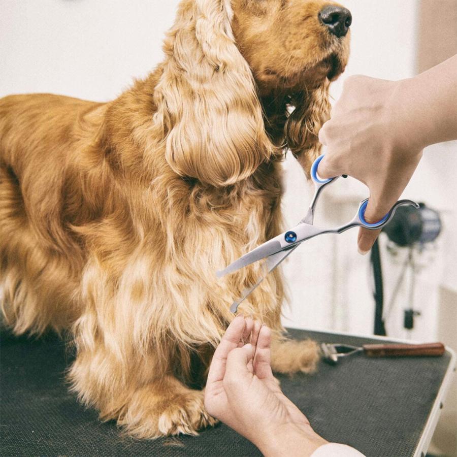 トリミング ハサミ トリミングシザー 犬 犬トリミングハサミ ペットハサミ カーブ セット プロ ペット ハサミ シザー スキバサミ｜syasya-shopping｜11