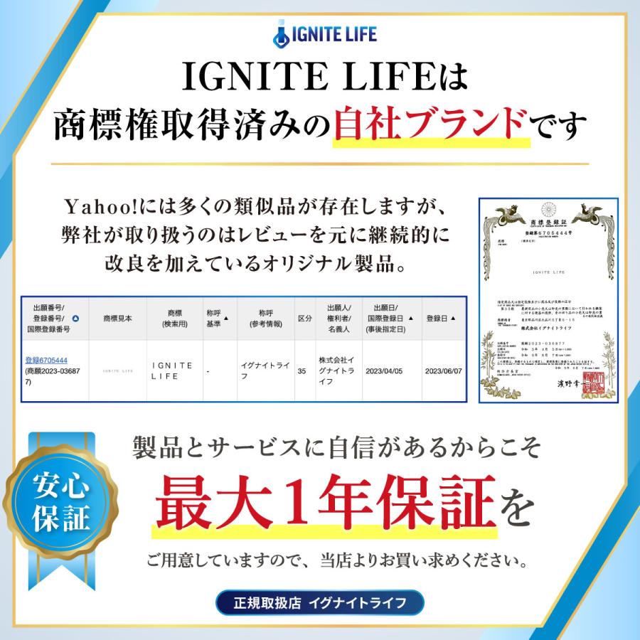 IGNITE LIFE Webカメラ マイク マイク内蔵 ウェブカメラ 広角 「Web