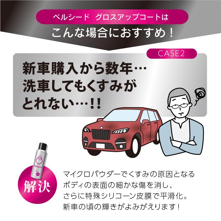 車 Pellucid ハイドロショット グロスアップコート 7本セット