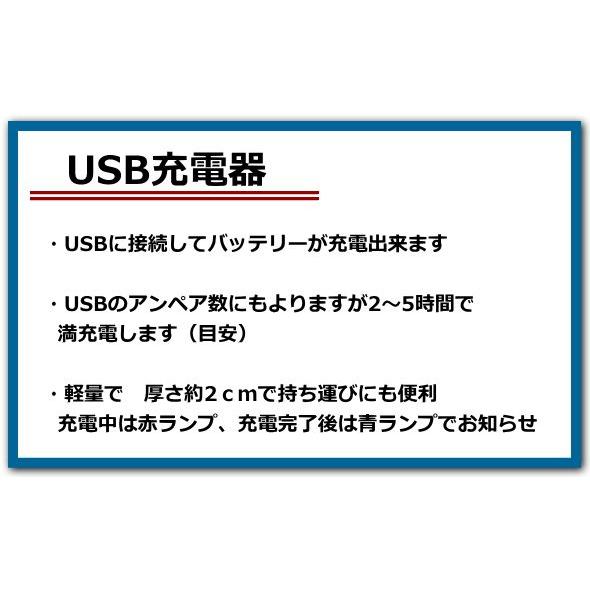 SONY 【SONY】 ソニー NP-FV70 /NP-FV70/5 互換バッテリー 2個 + SONY 【SONY】 ソニー NP-FV70 /NP-FV70/5 互換バッテリー 2個 +