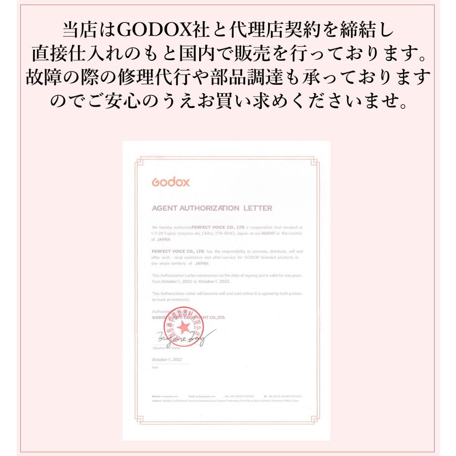 GODOX ランキング1位 日本正規代理店品 AD300pro 延長サポート GODOX ランキング1位 日本正規代理店品 AD300pro 延長サポート