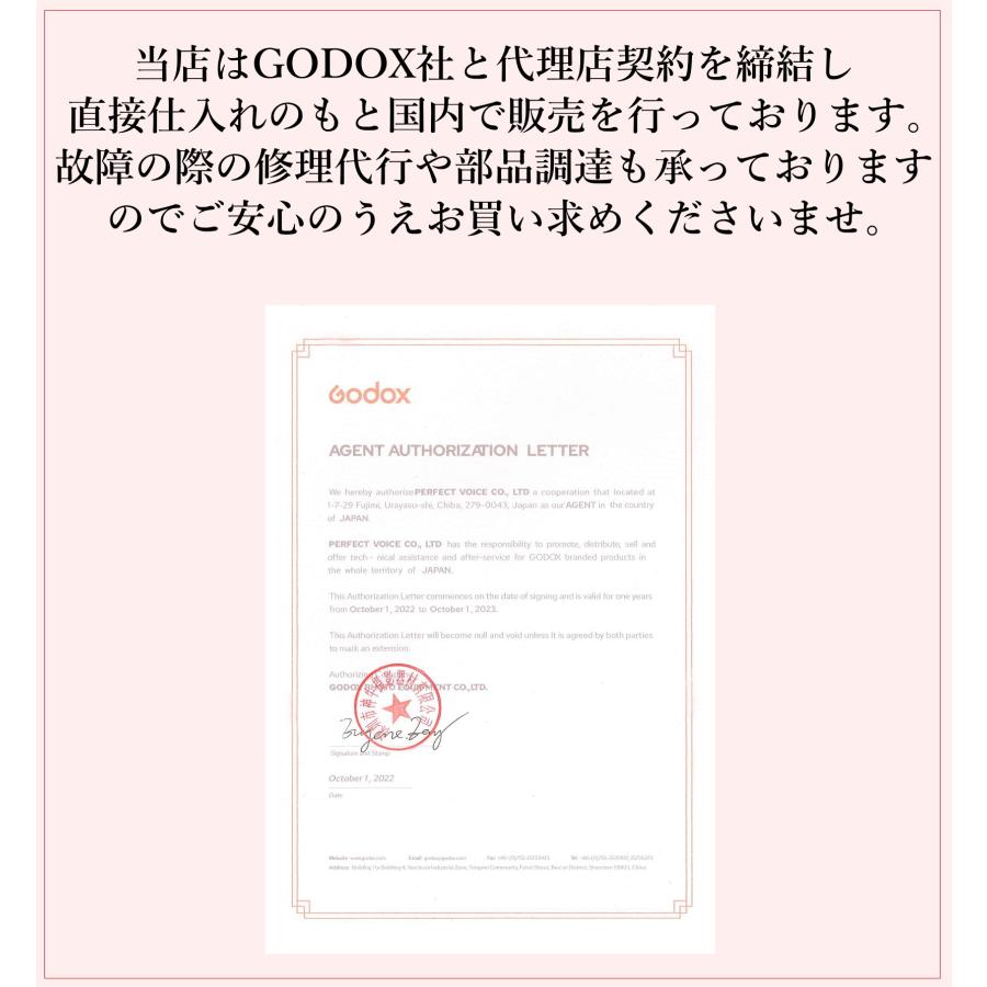 正規代理店品 最新改良版  GODOX  AD100Pro インナーパネル マゼンタフィルタータイプ｜syh｜02
