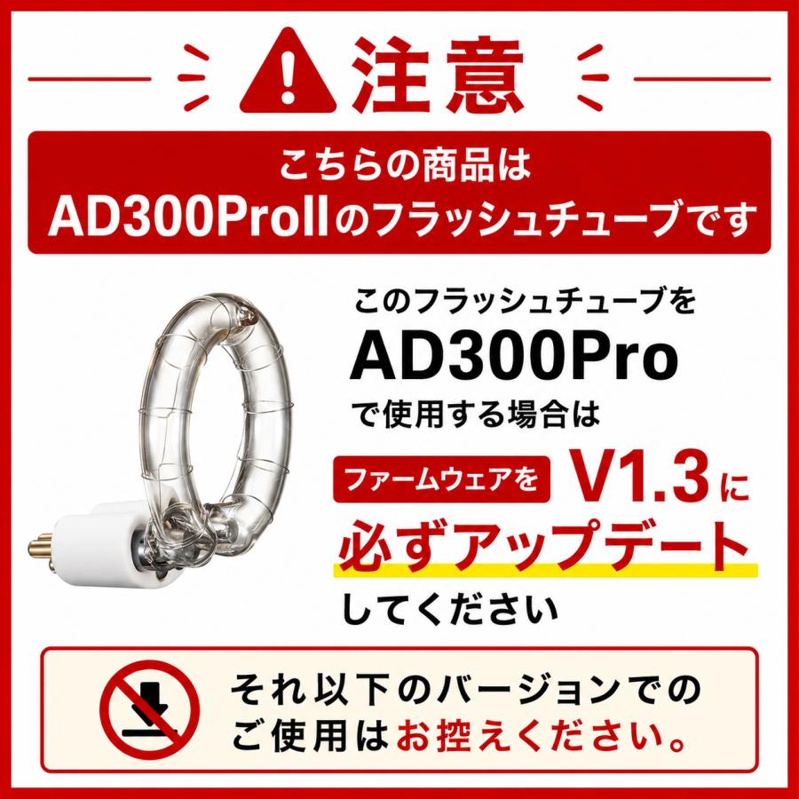 GODOX（ゴドックス） 日本正規代理店品 GODOX AD300Pro II AD300Pro