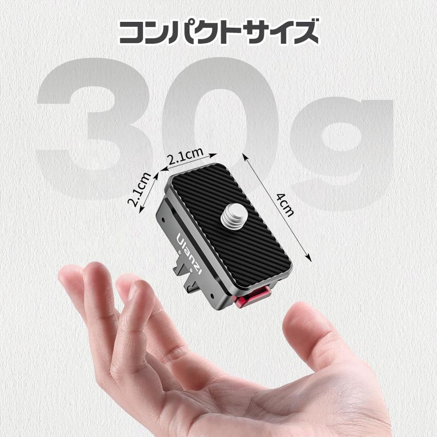 【Songwei専用】 BODY WILD（ボディワイルド） GUNZE グンゼ ボクサーパンツ 前とじ