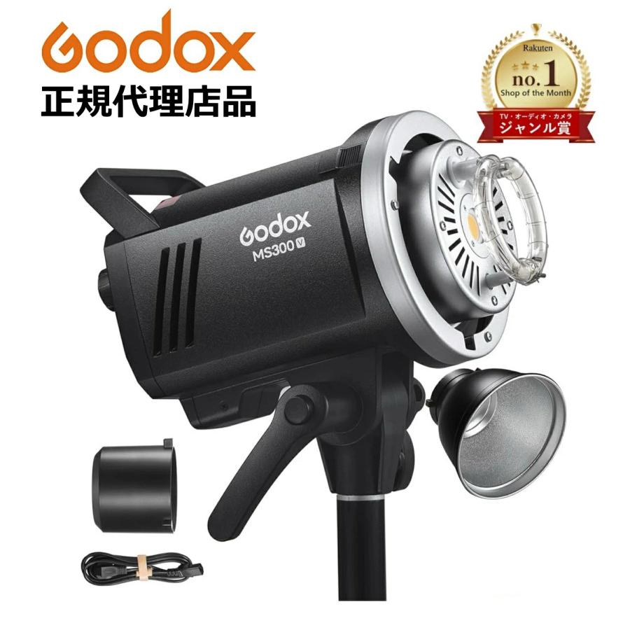 GODOX（ゴドックス） 日本正規代理店品 Godox MS300-V 300Ws 日本語