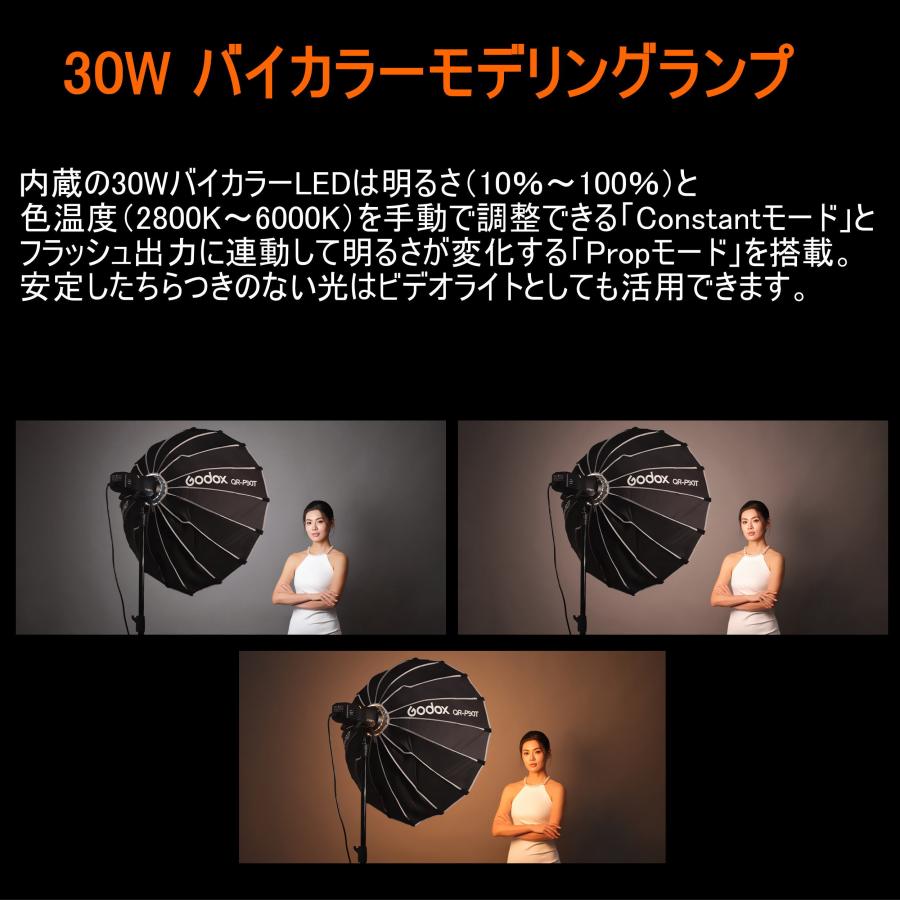 GODOX（ゴドックス） 日本正規代理店品 新型 GODOX AD400PROII 日本語