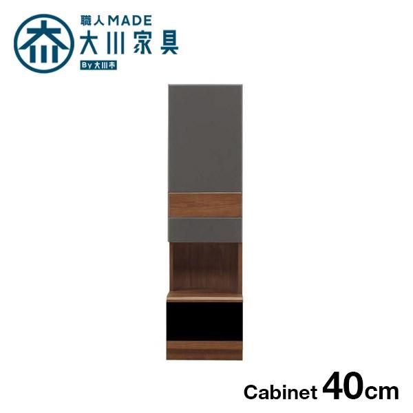 キャビネット 壁面収納 コレクションラック 幅40 完成品 コレクションボード 日本製 大川家具 | 