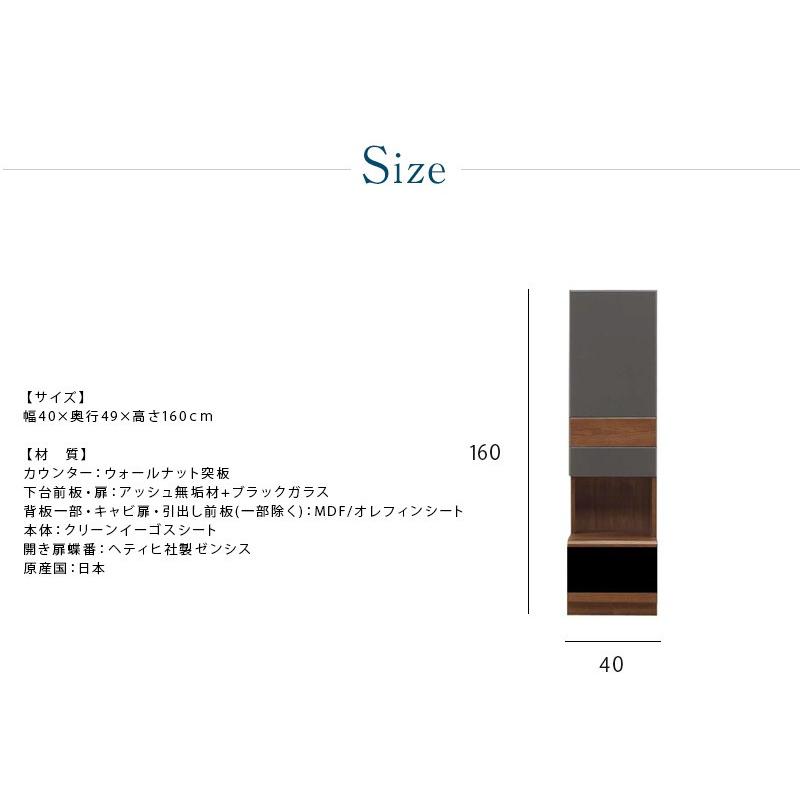 キャビネット 壁面収納 コレクションラック 幅40 完成品 コレクションボード 日本製 大川家具 |  | 01