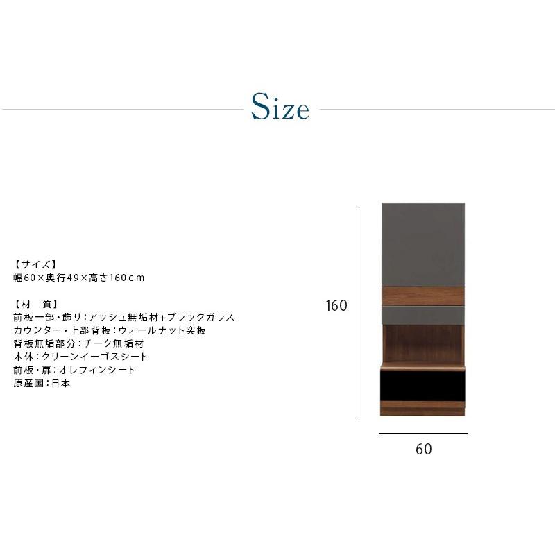 キャビネット 壁面収納 コレクションラック 幅60 完成品 コレクションボード 日本製 大川家具 |  | 01