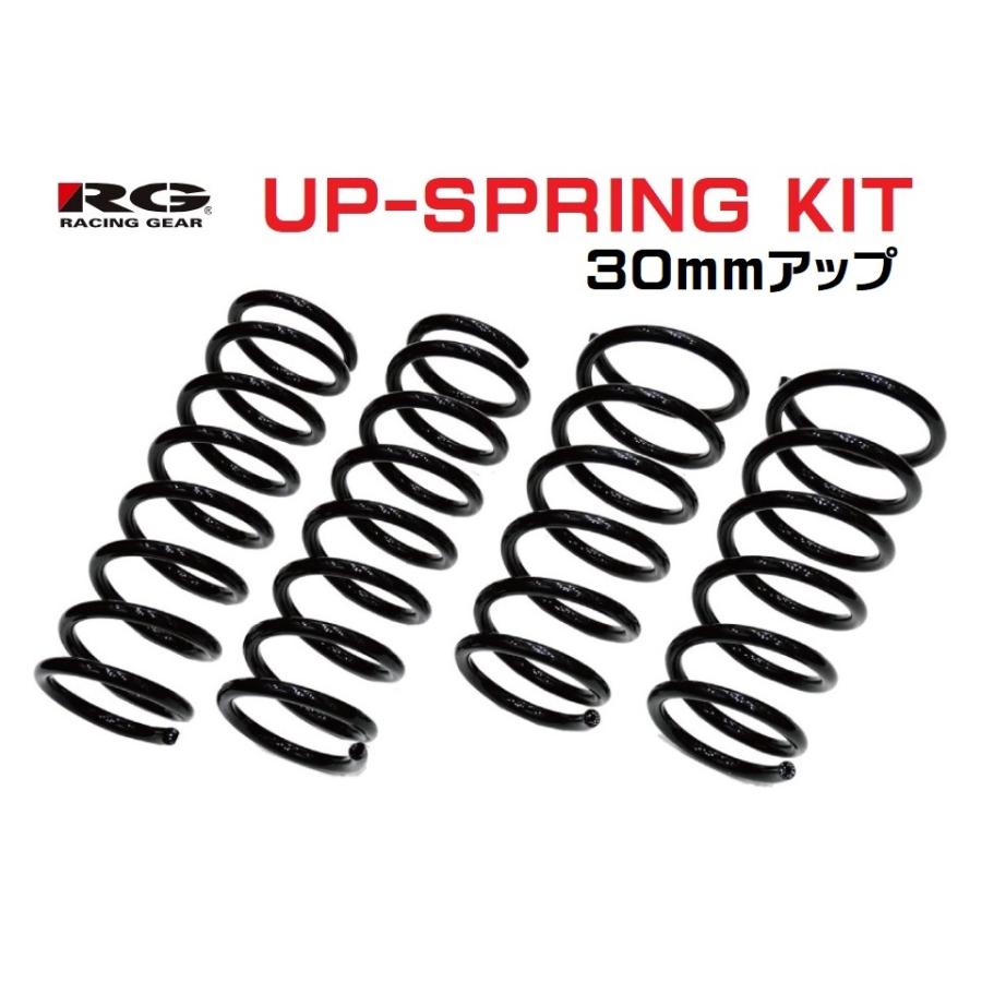 RACING GEAR ○辰巳屋 リフトアップスプリング ハイゼットカーゴ S320V