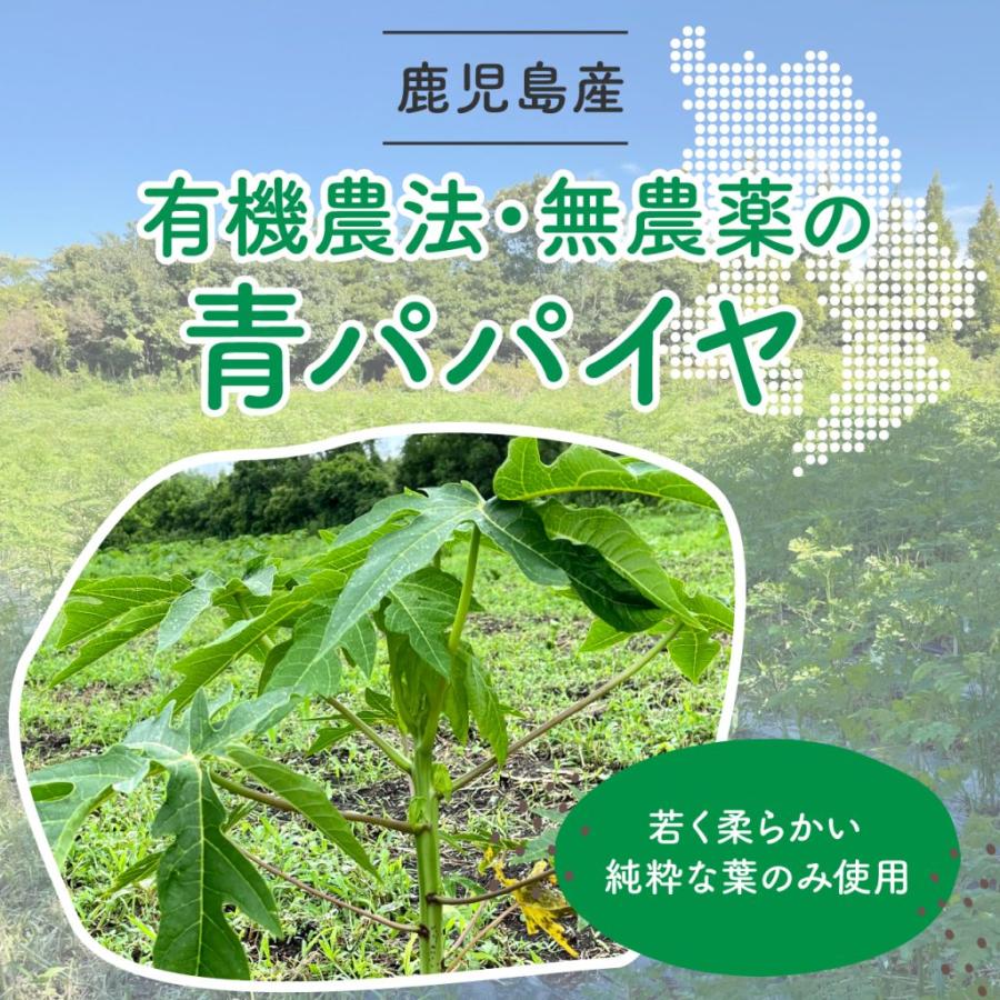 酵素の青汁 青パパイヤ 粉末茶 （40g）鹿児島県産 無農薬 有機栽培 ノンカフェイン　ソムタム カフェ｜synapse-jpn｜05