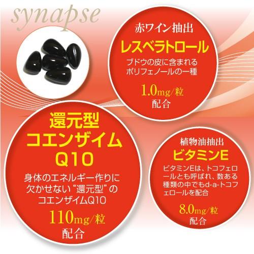 アクティブQ10（90粒入り）約90日分｜synapse｜02