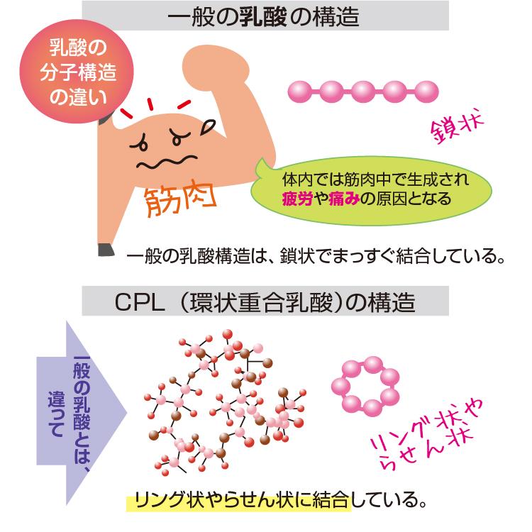 CPL PURE シーピーエルピュア (150カプセル）※2024年5月リニューアル 環状重合乳酸/ポリ乳酸 乳酸オリゴマー 健康食品 サプリメント |  | 04