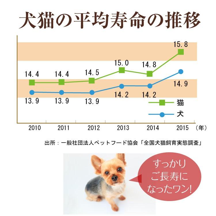 犬 ペット サプリ ドクターママル ドロドロとんでいけ ｌｒ末 ミミズ食品 老犬 老猫 粒入り Dorodoro 1 シナプスyahoo 店 通販 Yahoo ショッピング