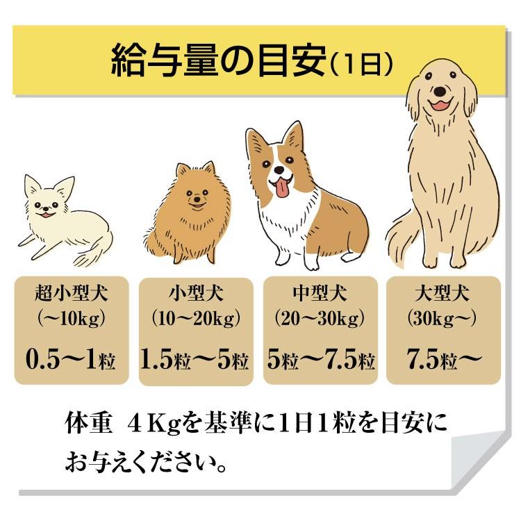 犬 ペット サプリ ドクターママル ドロドロとんでいけ ｌｒ末 ミミズ食品 老犬 老猫 粒入り Dorodoro 1 シナプスyahoo 店 通販 Yahoo ショッピング