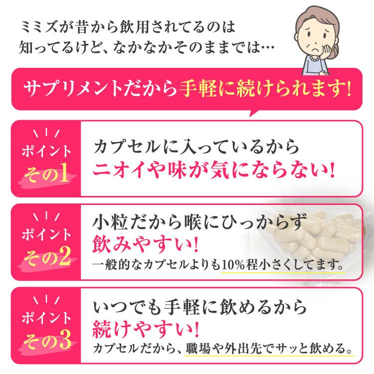 【正規販売店】 ルンブレンエコ LR3（180粒/約1ヶ月分）×3袋セット/ ミミズ サプリ（LR末III/ルンブルクスルベルス） 健康食品 サプリメント ミミズ食品 |  | 12