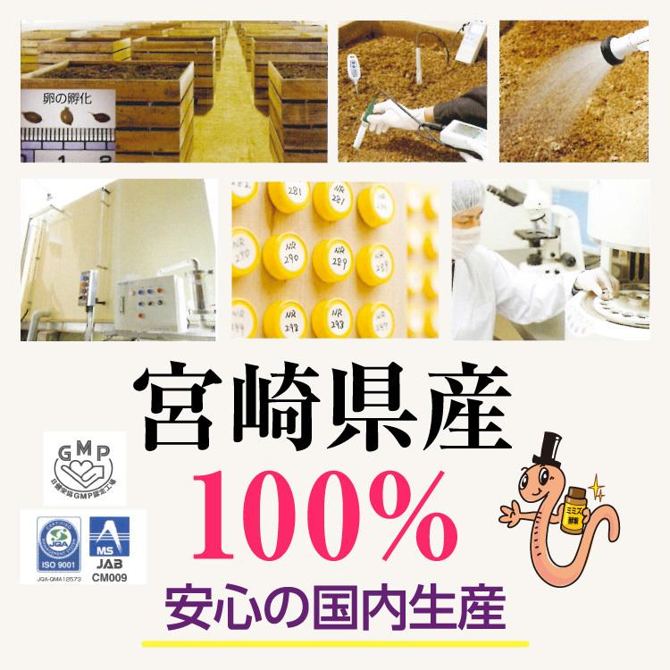 【正規販売店】 ルンブレンエコ LR3（180粒/約1ヶ月分）×3袋セット/ ミミズ サプリ（LR末III/ルンブルクスルベルス） 健康食品 サプリメント ミミズ食品 |  | 05