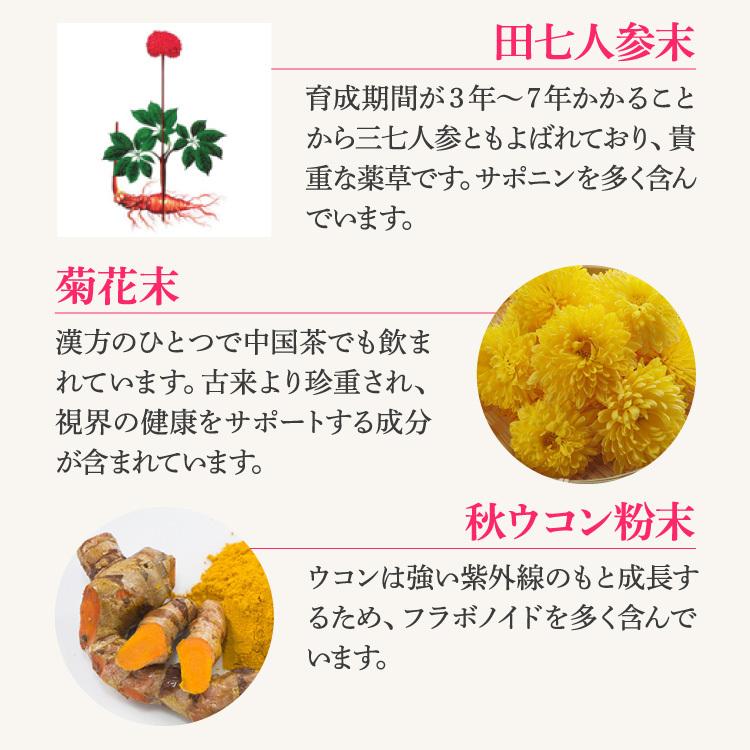 【正規販売店】 ルンブレンエコ LR3（180粒/約1ヶ月分）×3袋セット/ ミミズ サプリ（LR末III/ルンブルクスルベルス） 健康食品 サプリメント ミミズ食品 |  | 08