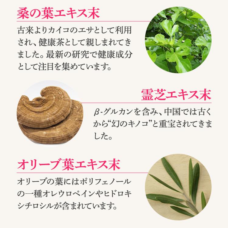 【正規販売店】 ルンブレンエコ LR3（180粒/約1ヶ月分）×3袋セット/ ミミズ サプリ（LR末III/ルンブルクスルベルス） 健康食品 サプリメント ミミズ食品 |  | 09