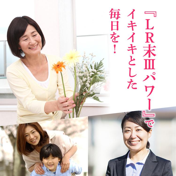 【２点セット】 【送料無料】ルンブレンエコ LR3（180カプセル/約1ヶ月分）×6袋セット/ ミミズ サプリ（LR末III/ルンブルクスルベルス） 健康食品 サプリメント　ミミズ食品 【FK9113207428】(33048円)