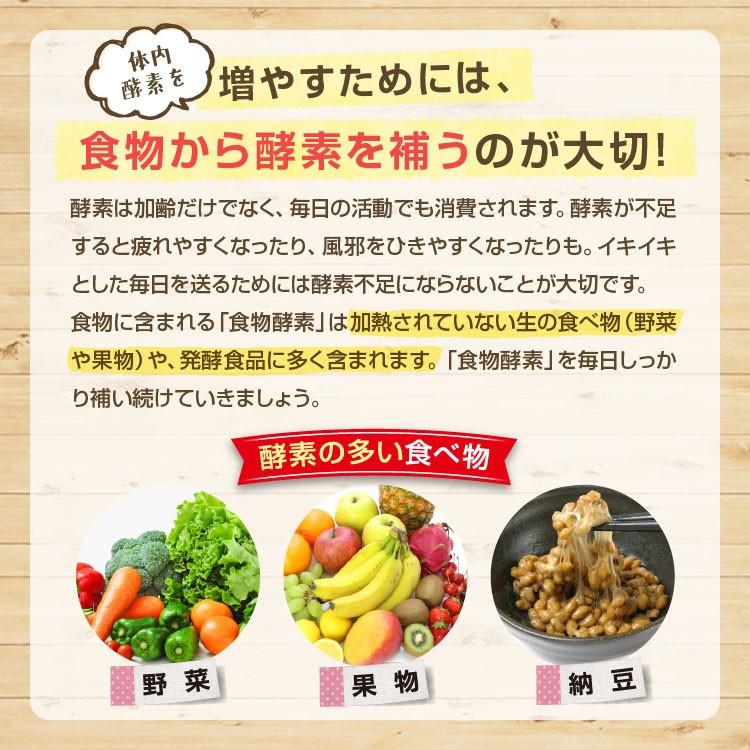 富元酵素（1000mL)×10本セット/ 生きた酵母の酵素ドリンク