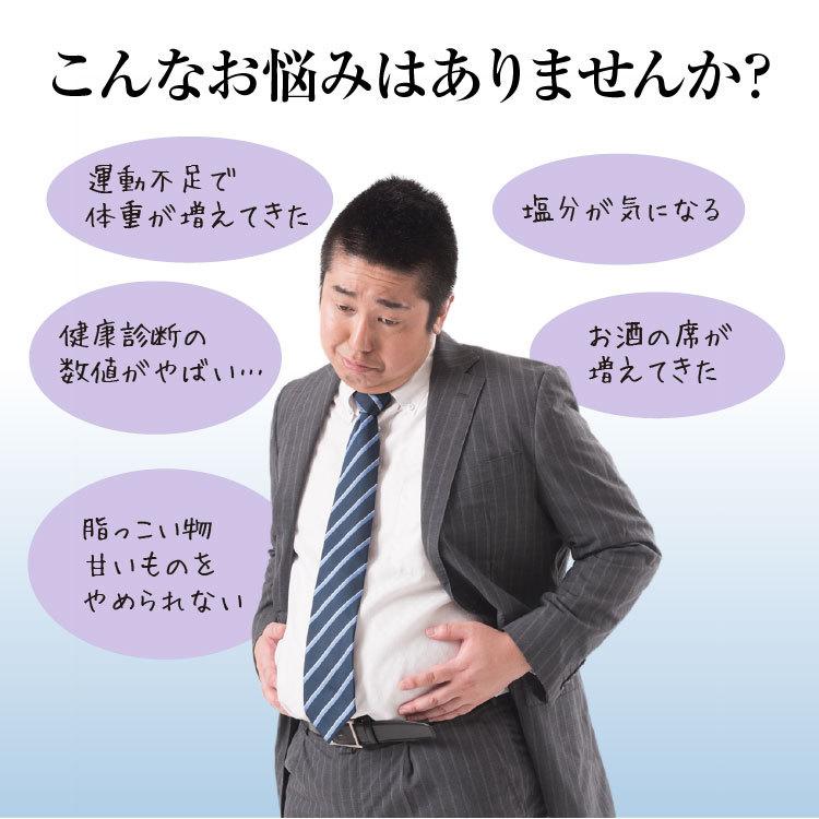 菊芋 サプリ 純度99%! イヌリンのちから 菊芋の粒 （6個セット）水溶性食物繊維 サプリ 国産　※送料無料 |  | 02