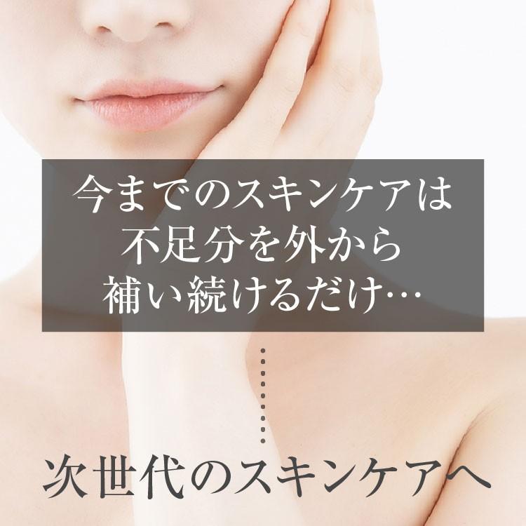 幹細胞 化粧品 コスメ RCH SC ピュア クリーム(30g)[ エンチーム