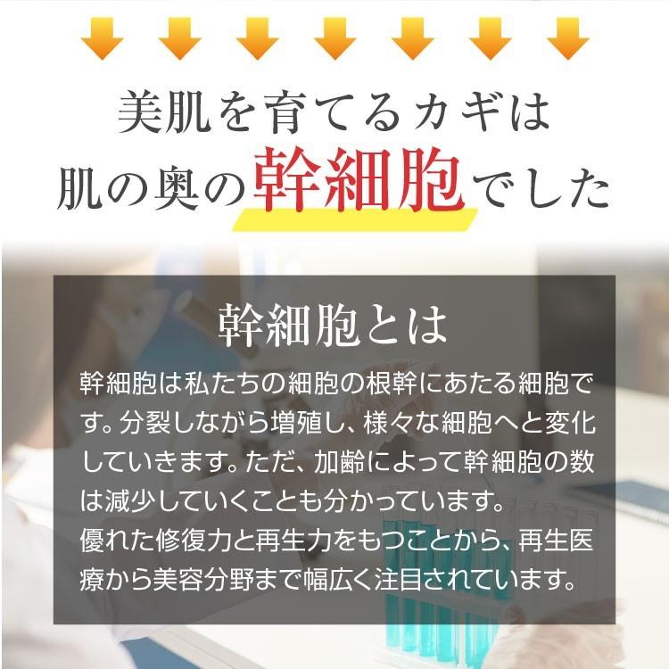 幹細胞 化粧品 コスメ RCH SC ピュア クリーム(30g)[ エンチーム ] ヒト脂肪細胞順化培養エキス ヒト幹細胞培養 幹細胞化粧品【送料無料】ひと 人 pure｜synapse｜05