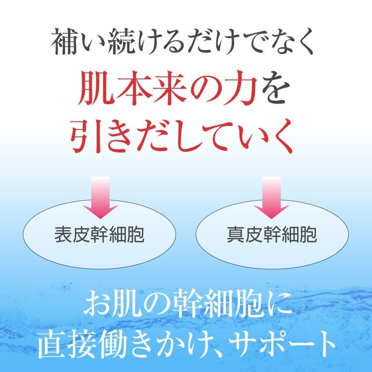 幹細胞 化粧品 コスメ RCH SC ピュア クリーム(30g)[ エンチーム ] ヒト脂肪細胞順化培養エキス ヒト幹細胞培養 幹細胞化粧品【送料無料】ひと 人 pure｜synapse｜07