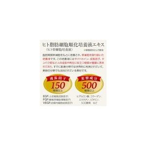 ヒト幹細胞 化粧水 化粧品 RCH SC ピュア ローション(120mL) お得な3本