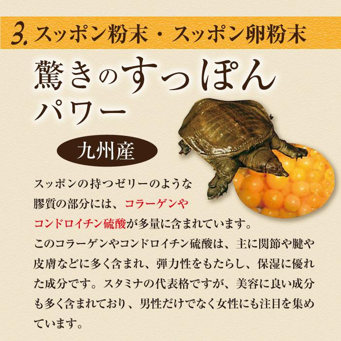 スッポン にんにく 卵黄油 プレミアム 60粒（約1ヶ月分) ニンニク卵黄 エンチーム 国産 健康食品 ギフト 【送料無料】 |  | 05