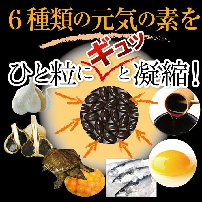 スッポン にんにく 卵黄油 プレミアム 60粒（約1ヶ月分) ニンニク卵黄 エンチーム 国産 健康食品 ギフト 【送料無料】 |  | 02