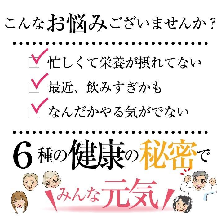 スッポン にんにく 卵黄油 プレミアム 60粒（約1ヶ月分) ニンニク卵黄 エンチーム 国産 健康食品 ギフト 【送料無料】 |  | 03